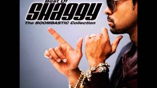 shaggy mp3 songs free download